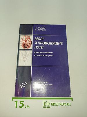 Мозг и проводящие пути. Анатомия человека в схемах и рисунках