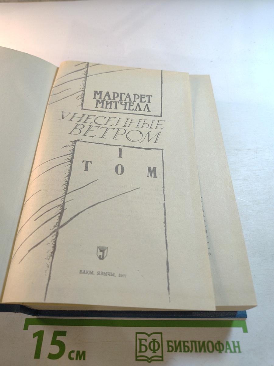 Унесенные ветром. Том I