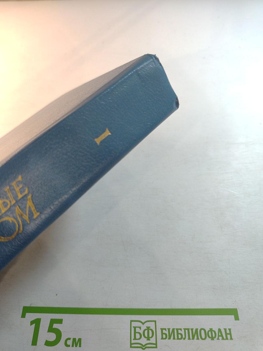 Унесенные ветром. Том I