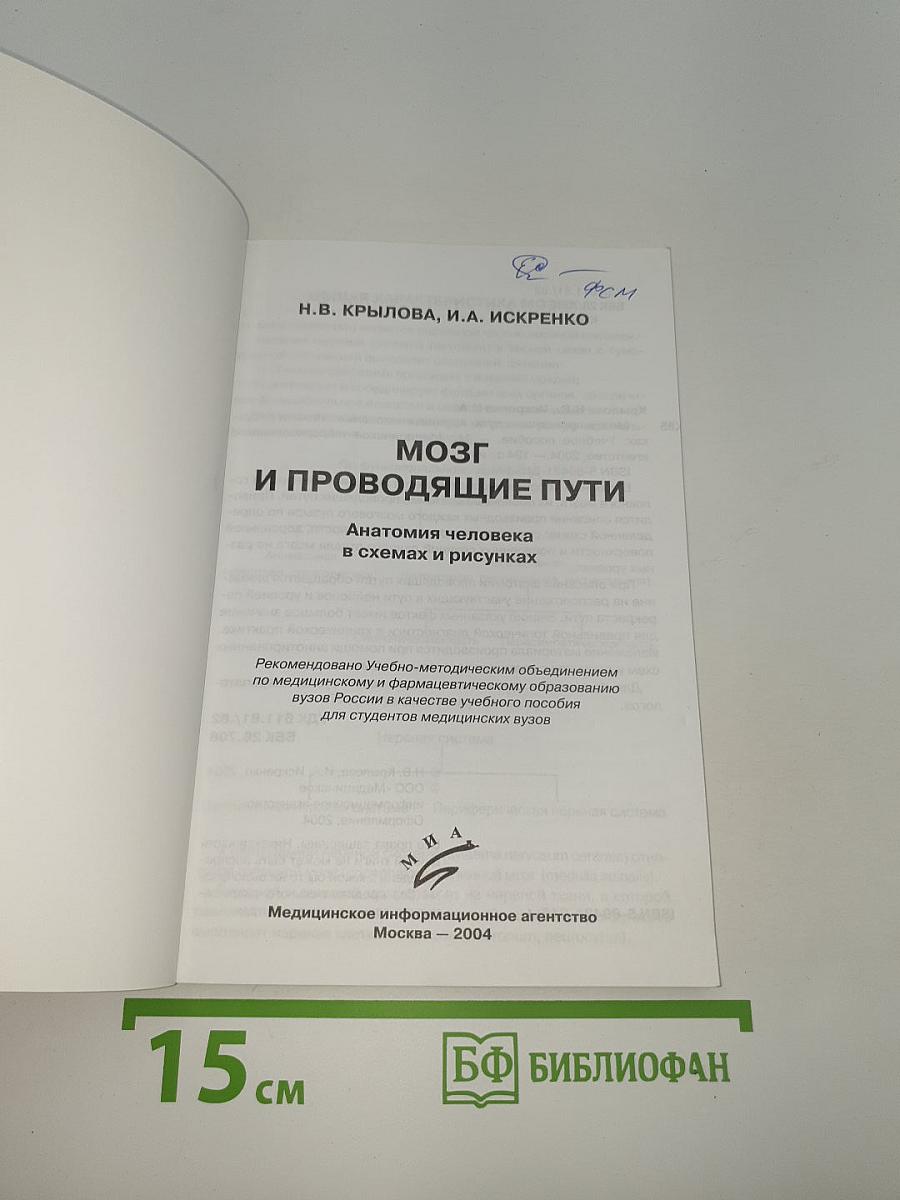 Мозг и проводящие пути. Анатомия человека в схемах и рисунках