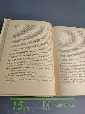 Я умею прыгать через лужи. Рассказы. Легенды