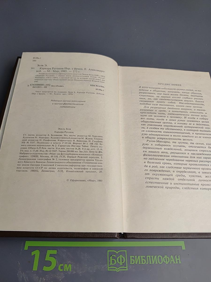 Карьера Ругонов