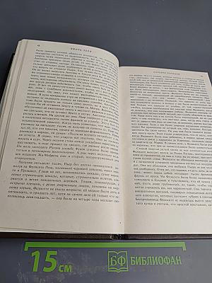 Карьера Ругонов