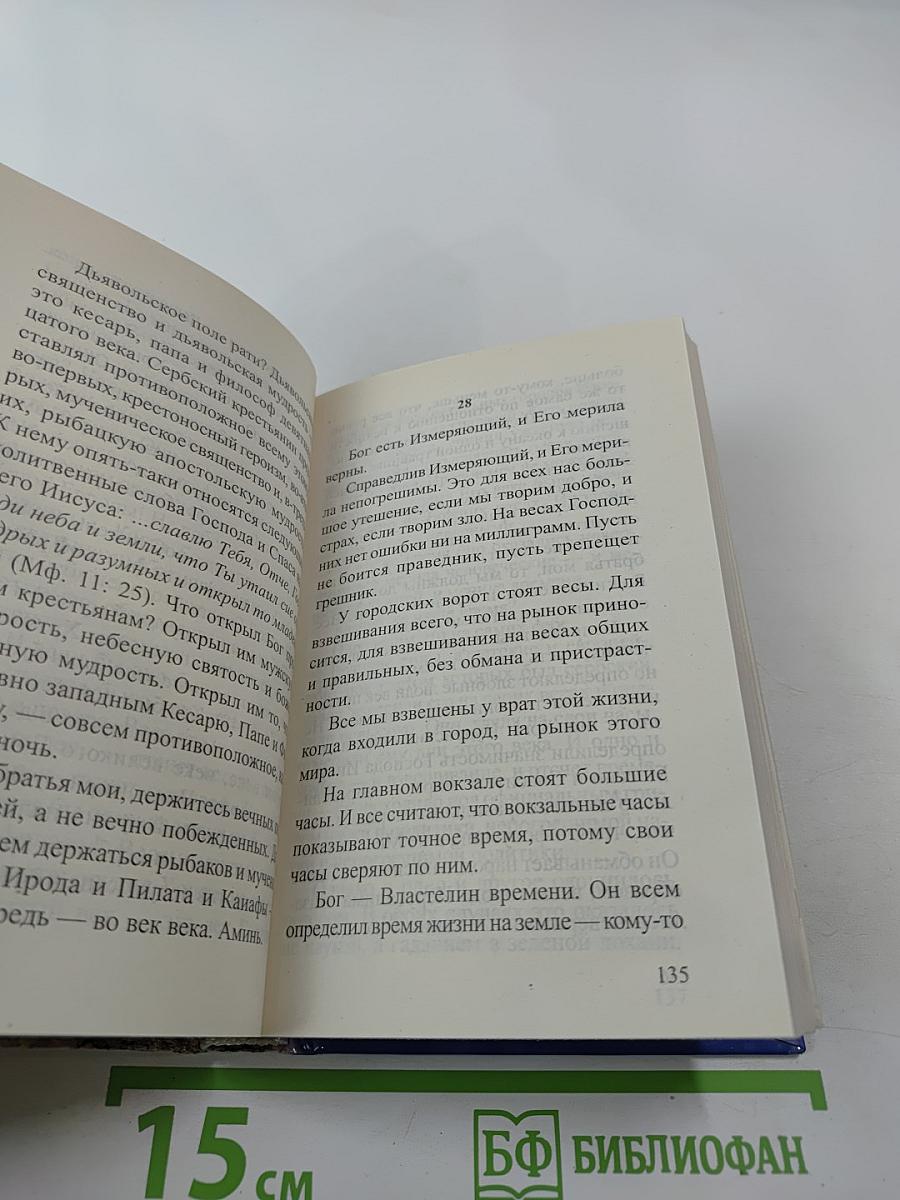 Из окна темницы