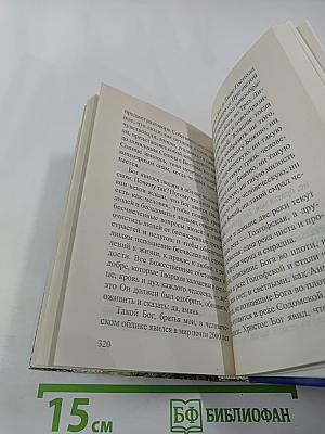 Из окна темницы