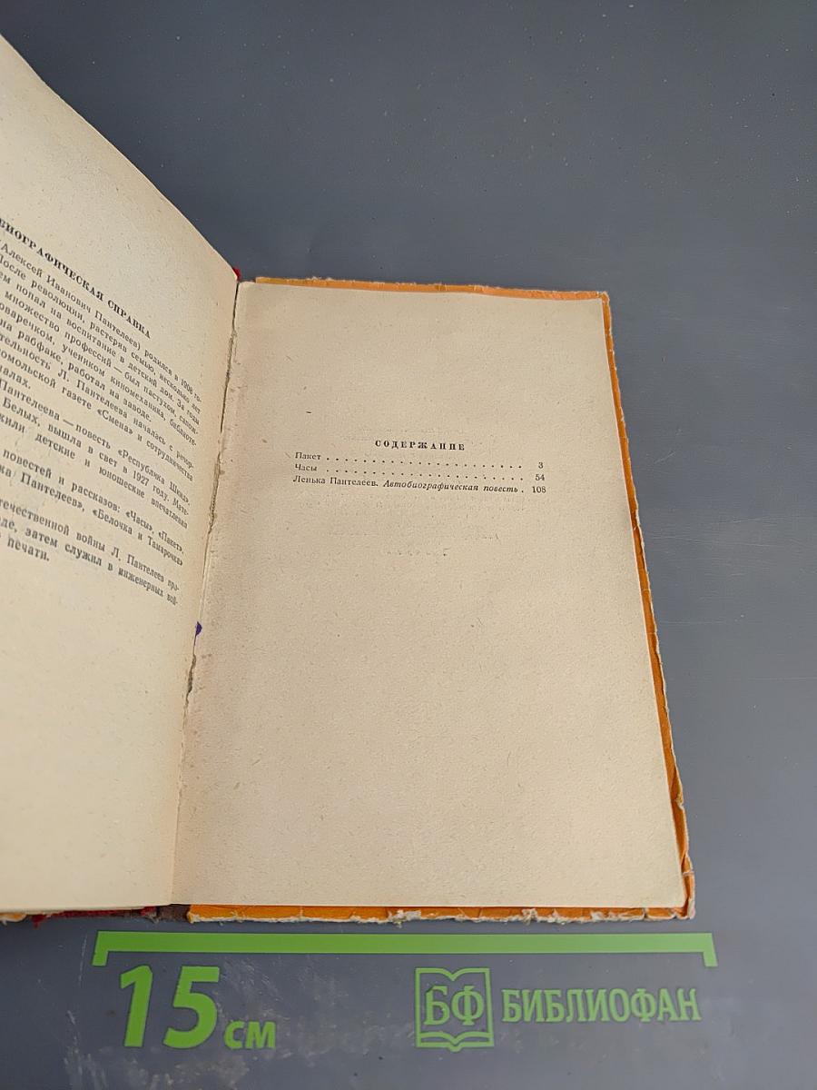 Пакет. Часы. Ленька Пантелеев
