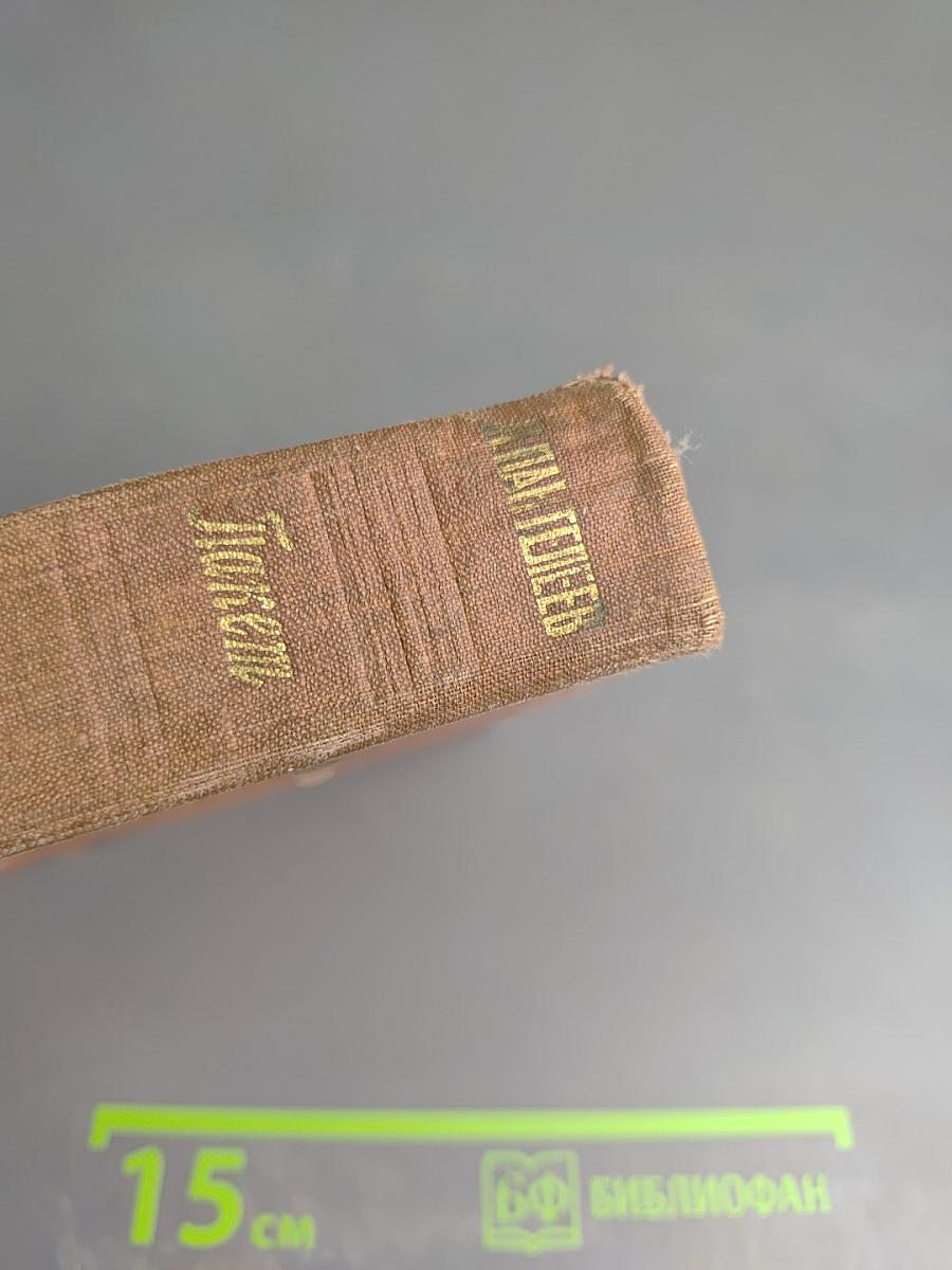 Пакет. Часы. Ленька Пантелеев