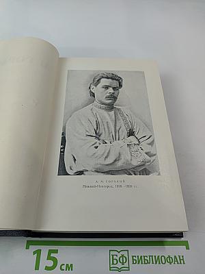 Собрание сочинений. Том 3: Рассказы 1896-1899