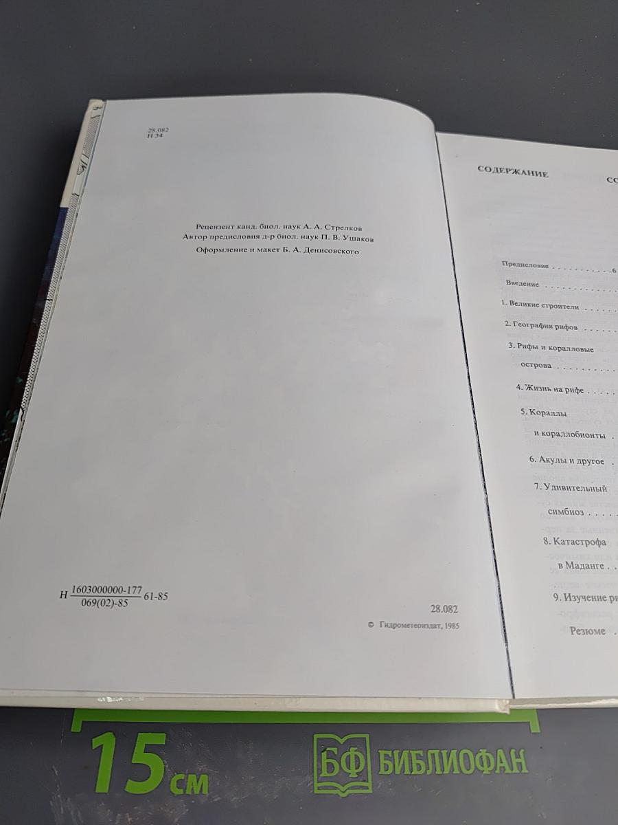 Мир кораллов