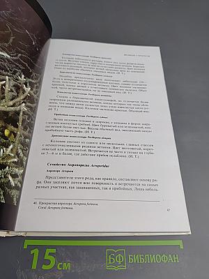 Мир кораллов