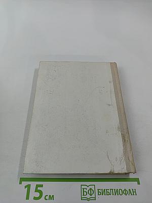 Радищев в Петербурге