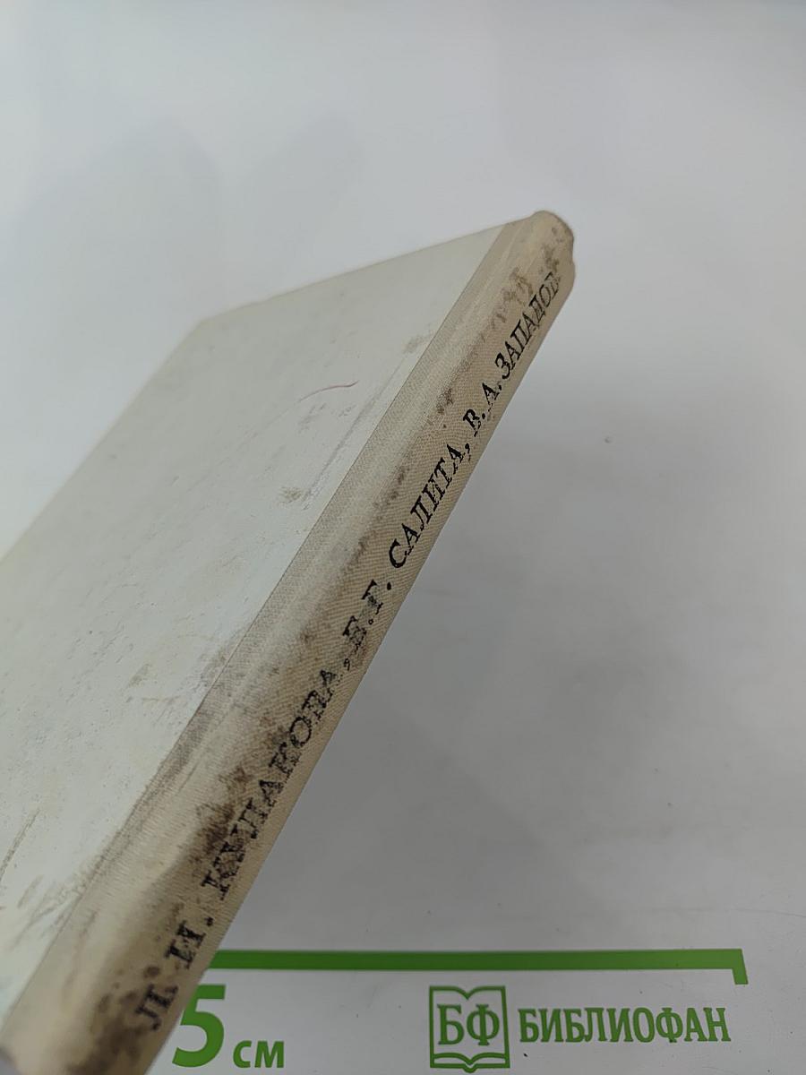 Радищев в Петербурге