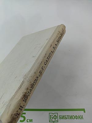 Радищев в Петербурге