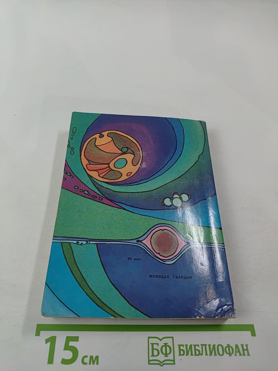 Звездная гавань