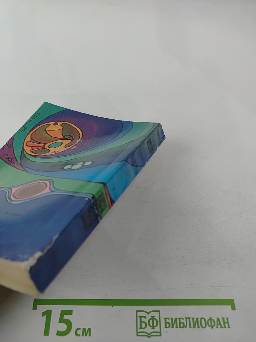 Звездная гавань