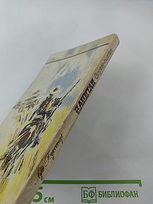 Капитан Сорви-голова