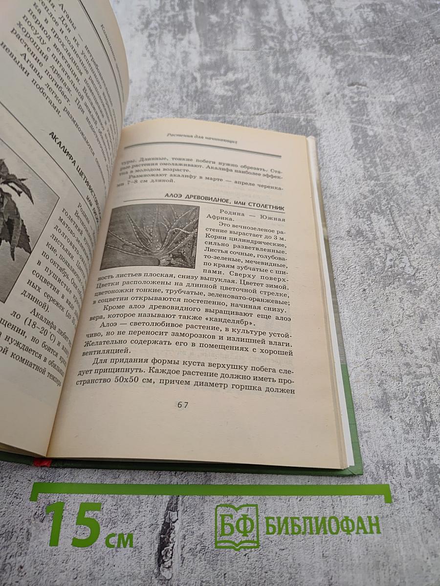 Комнатное цветоводство для лентяек