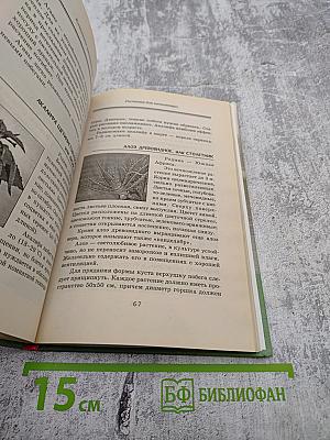 Комнатное цветоводство для лентяек