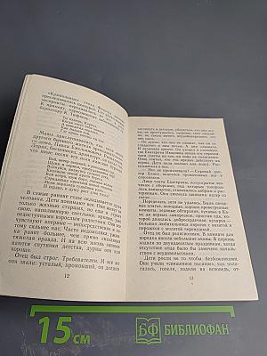 Повесть о матери