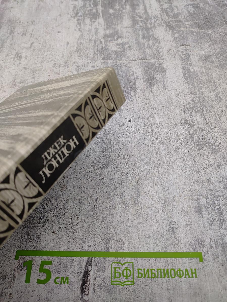 Железная пята. Время-не ждет