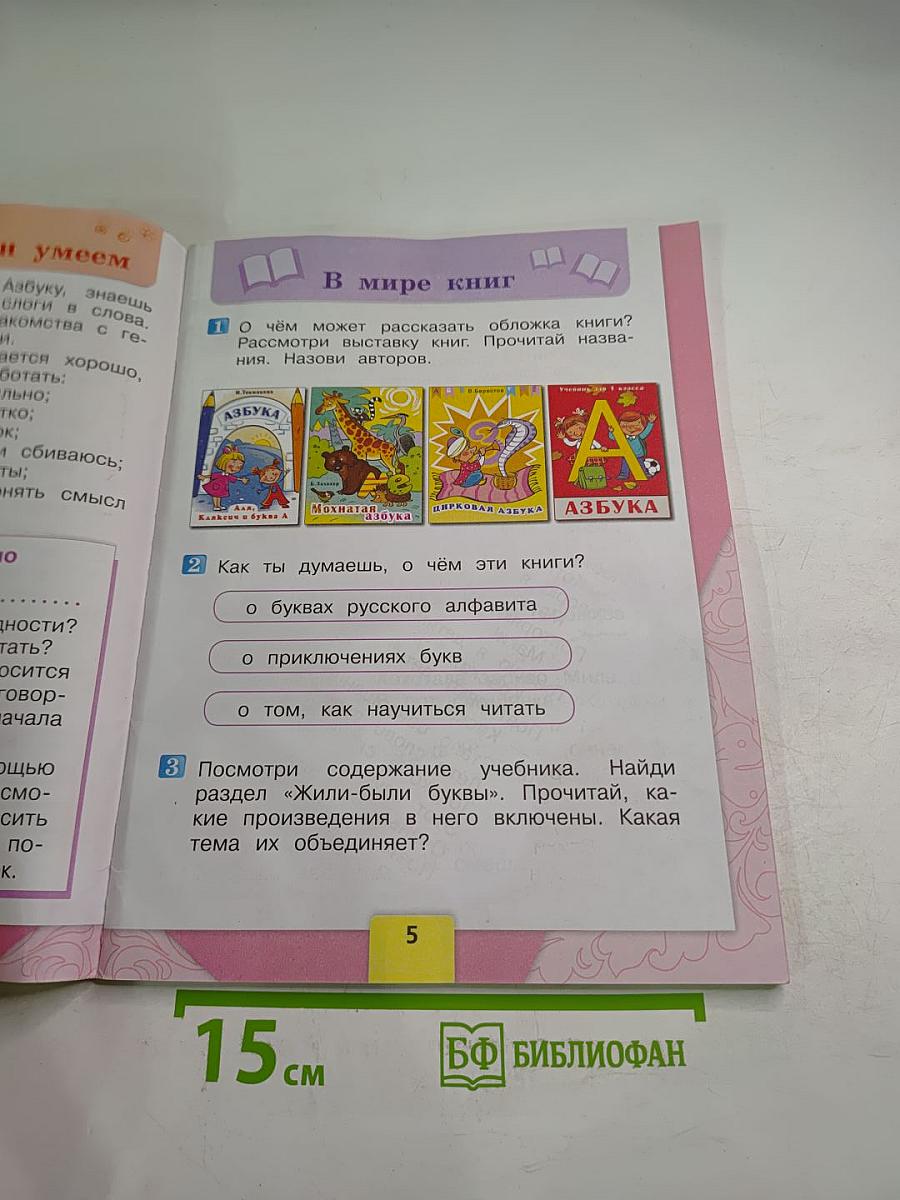 Литературное чтение. 1 класс. Часть 1