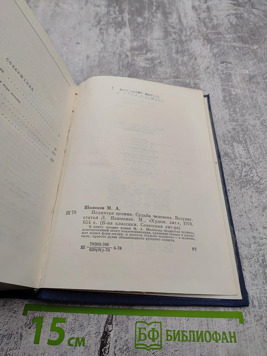 Поднятая целина. Судьба человека