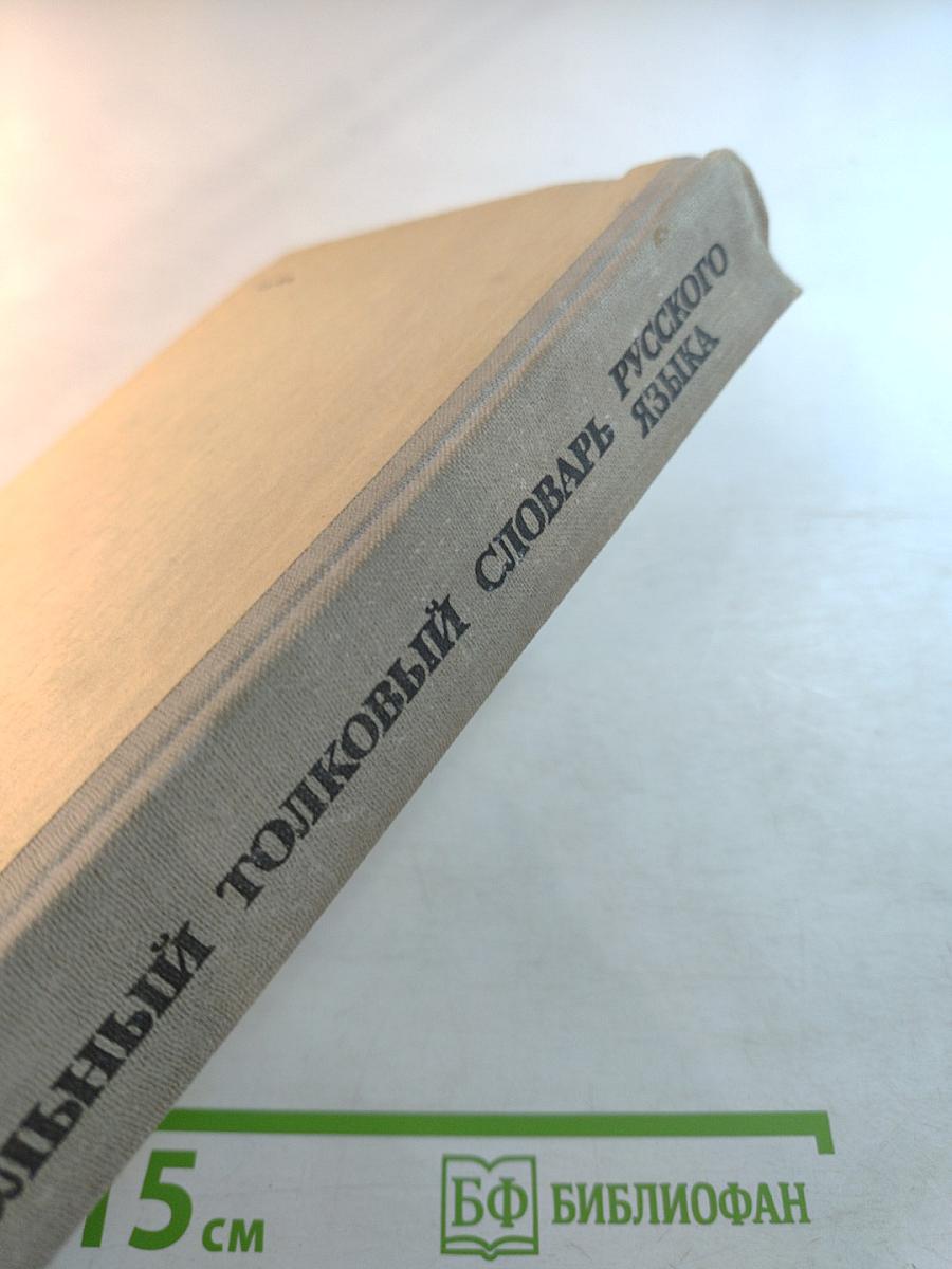 Школьный толковый словарь русского языка