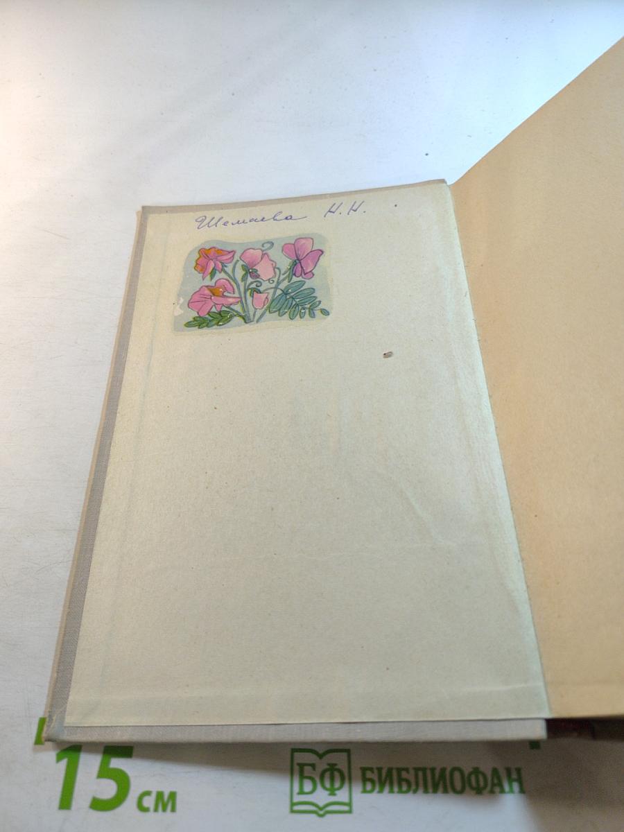 Грамматика английского языка