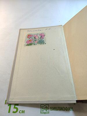 Грамматика английского языка