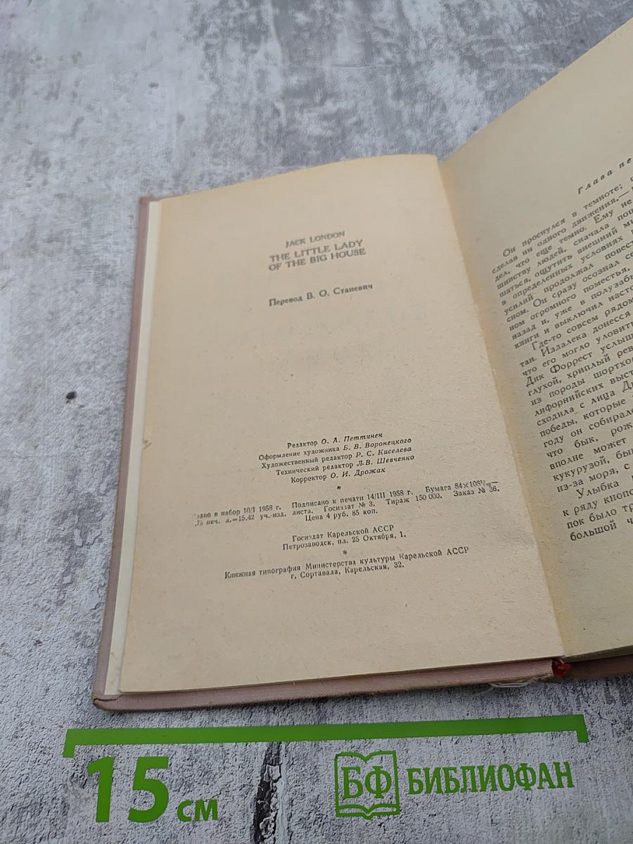 Маленькая хозяйка большого дома