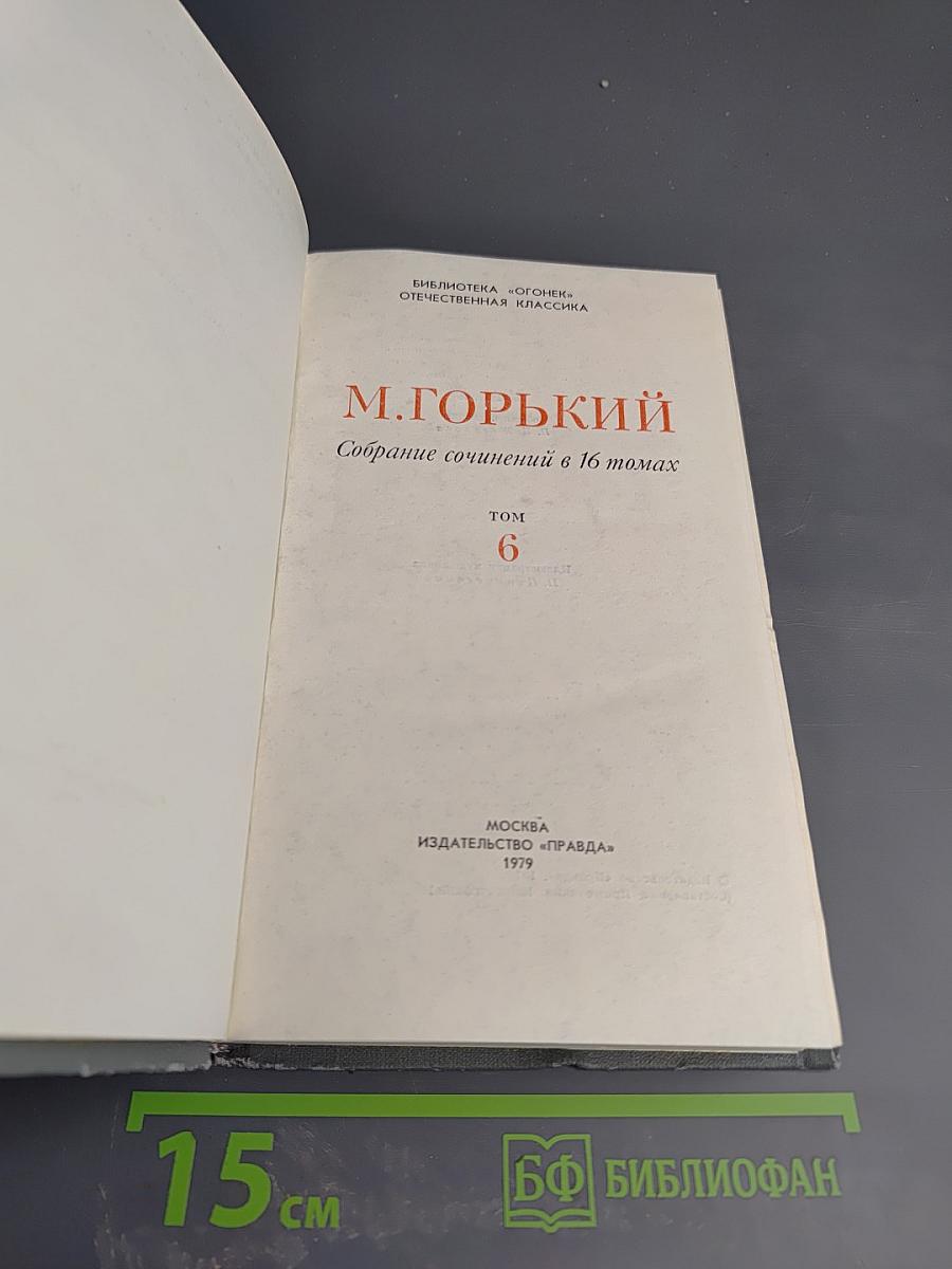Жизнь Матвея Кожемякина. Собрание сочинений в 16 томах. Том 6