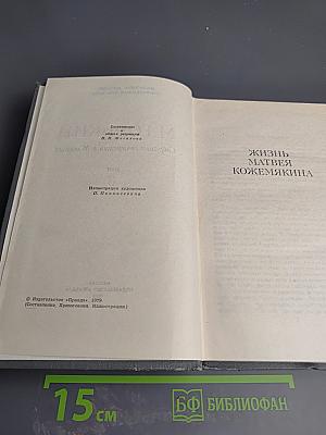 Жизнь Матвея Кожемякина. Собрание сочинений в 16 томах. Том 6
