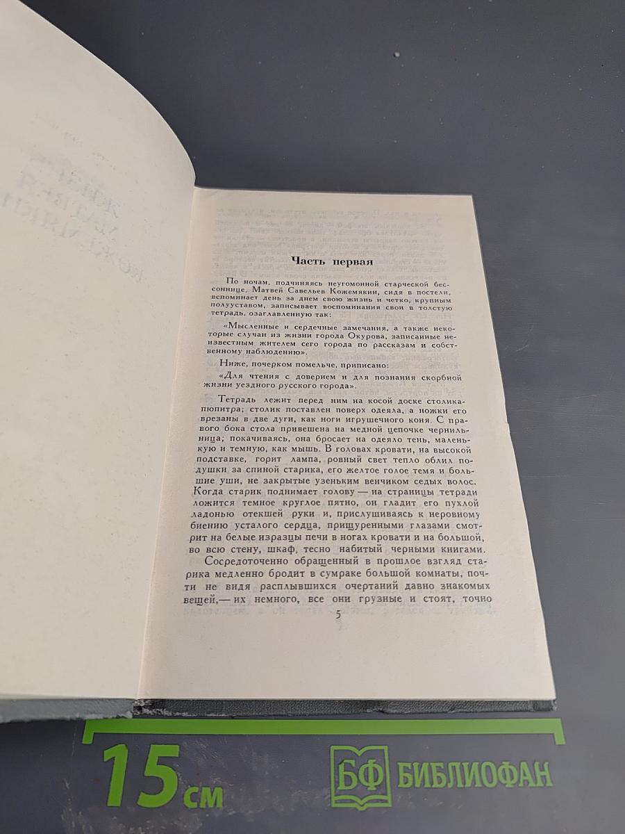 Жизнь Матвея Кожемякина. Собрание сочинений в 16 томах. Том 6
