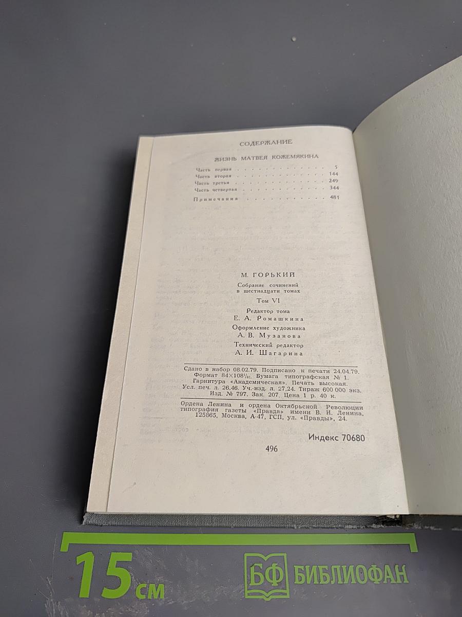Жизнь Матвея Кожемякина. Собрание сочинений в 16 томах. Том 6