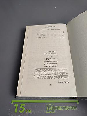 Жизнь Матвея Кожемякина. Собрание сочинений в 16 томах. Том 6