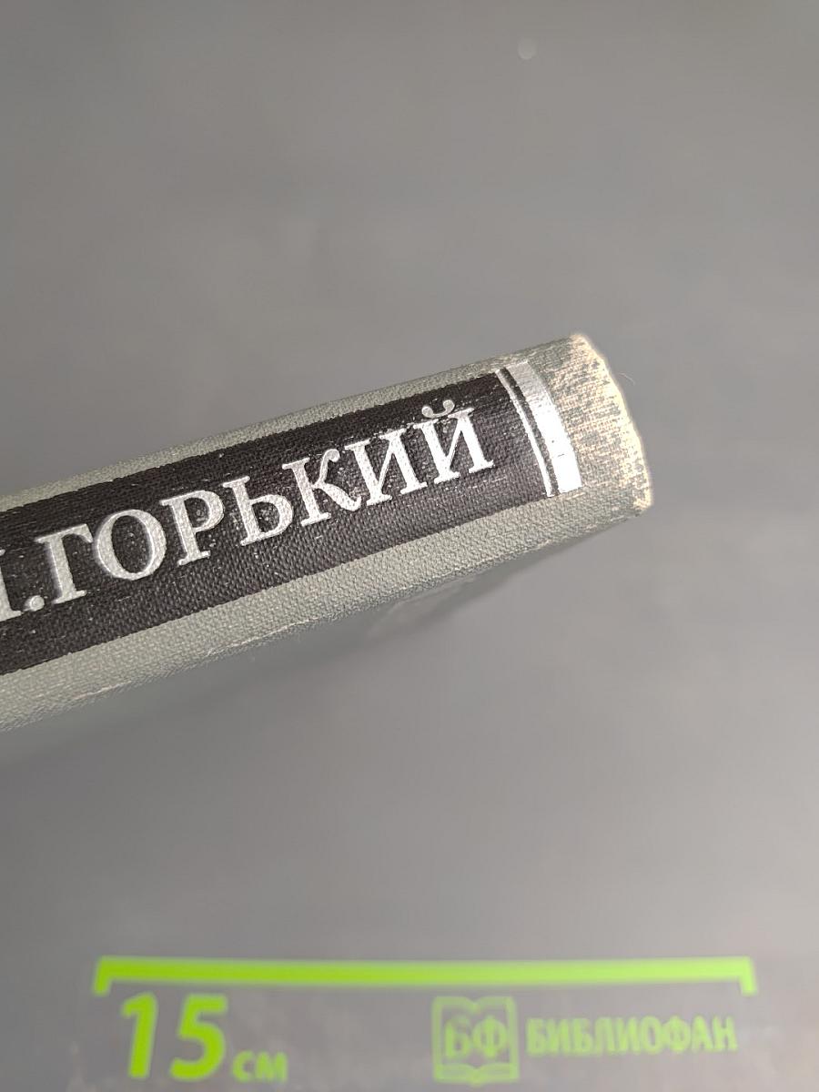 Жизнь Матвея Кожемякина. Собрание сочинений в 16 томах. Том 6