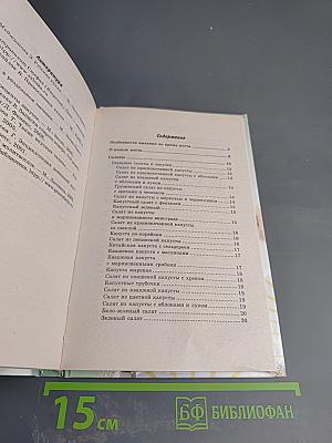 Большая книга постных салатов и супов