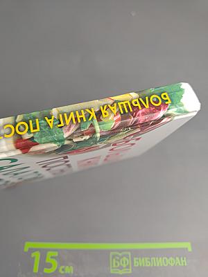 Большая книга постных салатов и супов