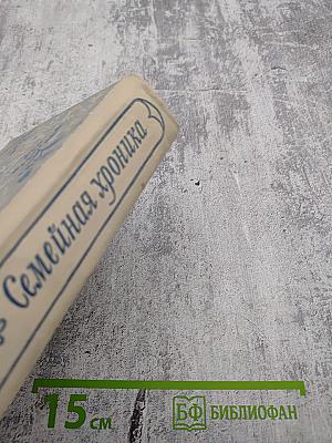 Семейная хроника. Детские годы Багрова-внука, служащие продолжением Семейной хроники