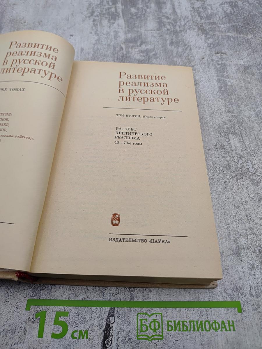 Развитие реализма в русской литературе. Том второй. Книга вторая