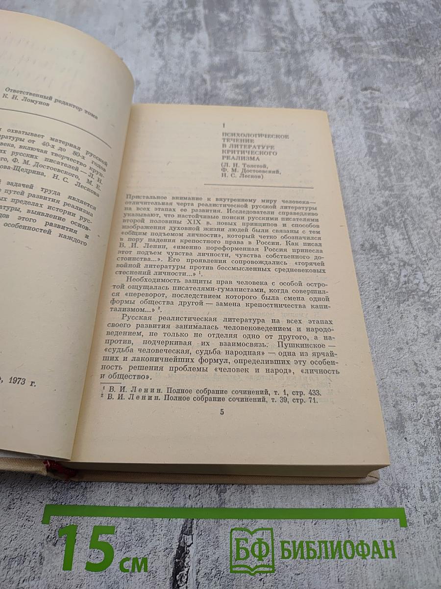 Развитие реализма в русской литературе. Том второй. Книга вторая