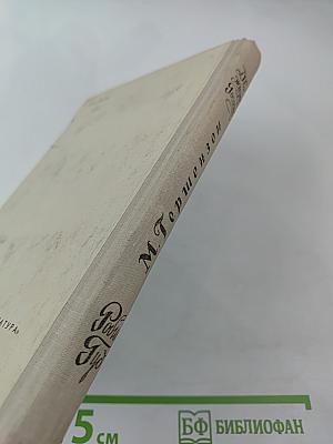 Две жизни Госсека. Робин Гуд