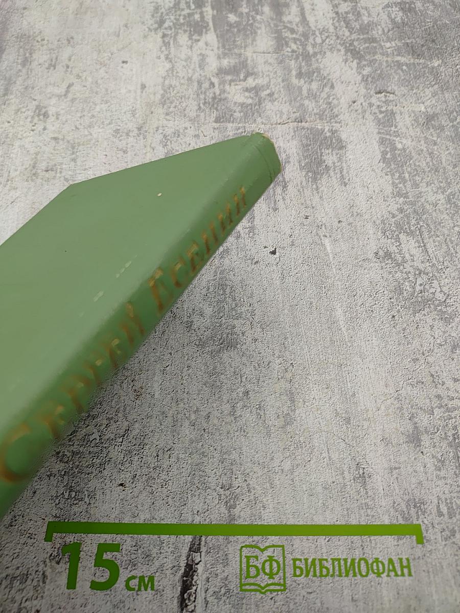 Сергей Есенин. Стихотворения, поэмы. Том второй