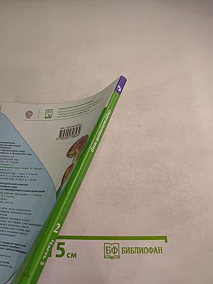 Окружающий мир 2 класс Часть 2