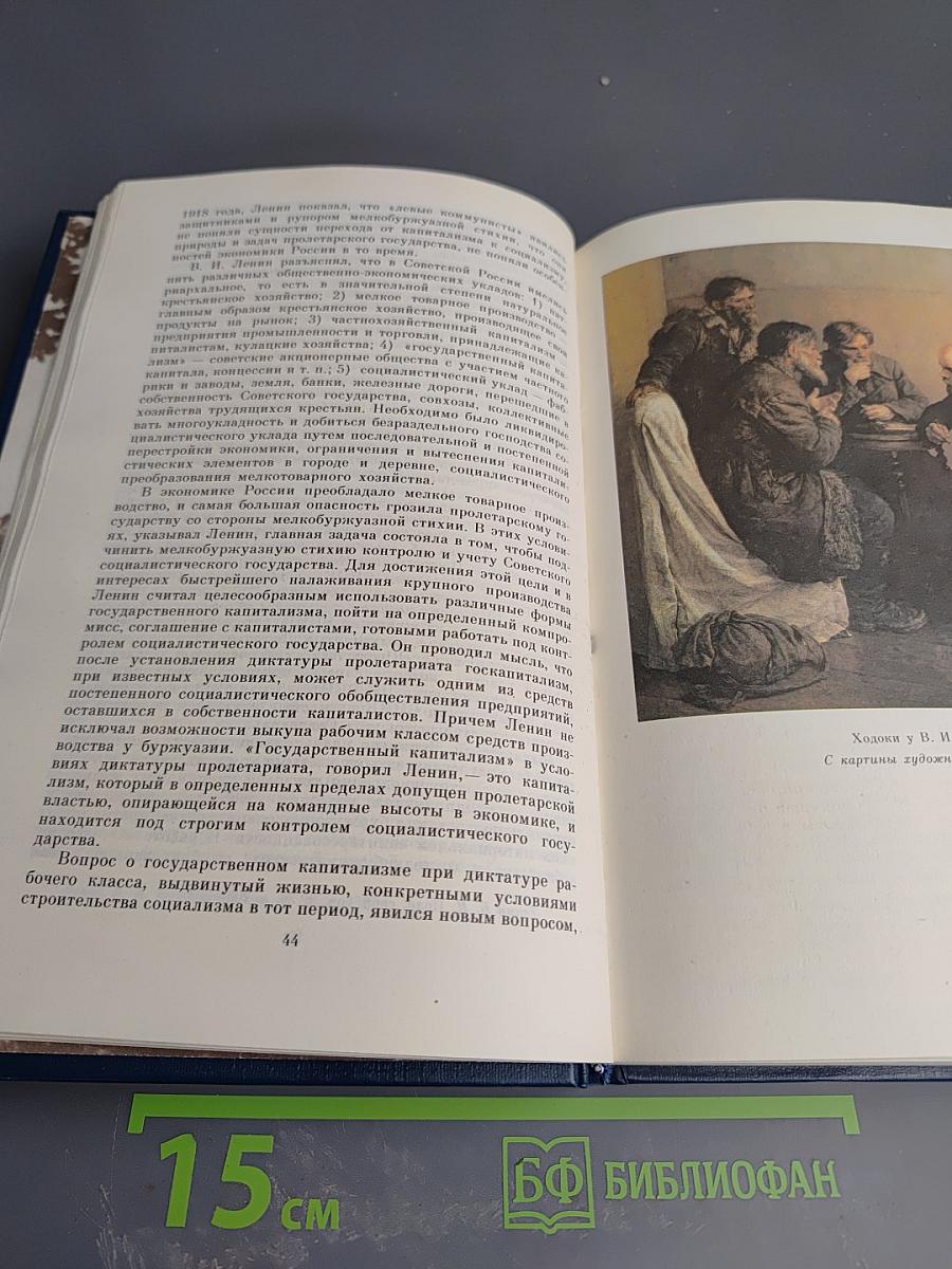 Владимир Ильич Ленин. Биография. Том 2