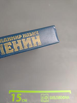 Владимир Ильич Ленин. Биография. Том 2