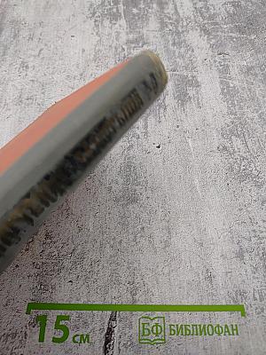 Жизнь и приключения Заморыша