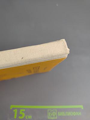 Петр Первый и его время. Книга для учащихся средних классов