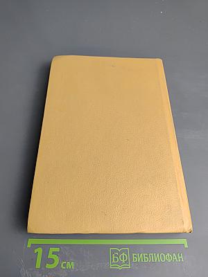 Исчезнувший принц. Том 3