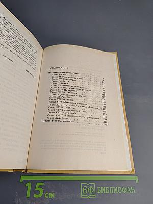 Маленькая принцесса. Чудная девочка. Том 4